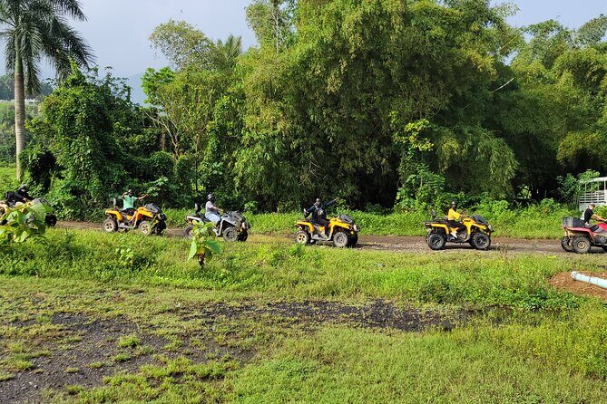 Transfer from San Juan to Dorado or Dorado to San Juan - Who Will Love This Service?