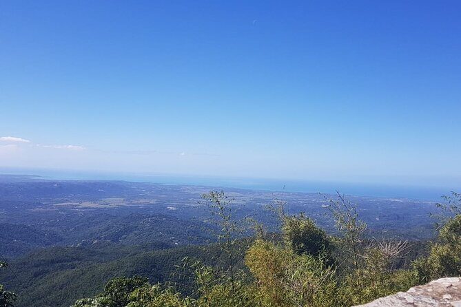 Transfer from San Juan to Dorado or Dorado to San Juan - FAQ