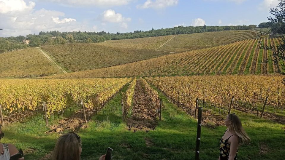 Transfer From Siena to Florence With Stop in San Gimignano - Monteriggioni Castle