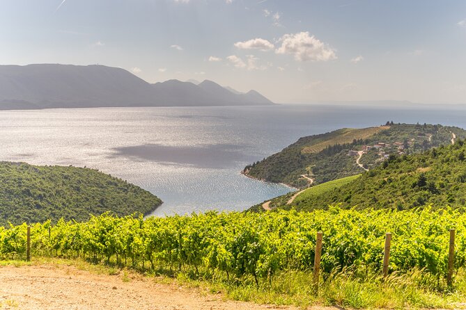Transfer From Split to Dubrovnik With 2 Hours Stop in Ston Town - User Reviews and Feedback