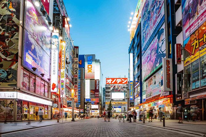 Transfer From Tokyo City Center to Haneda Airport (HND) - Accessibility and Participation