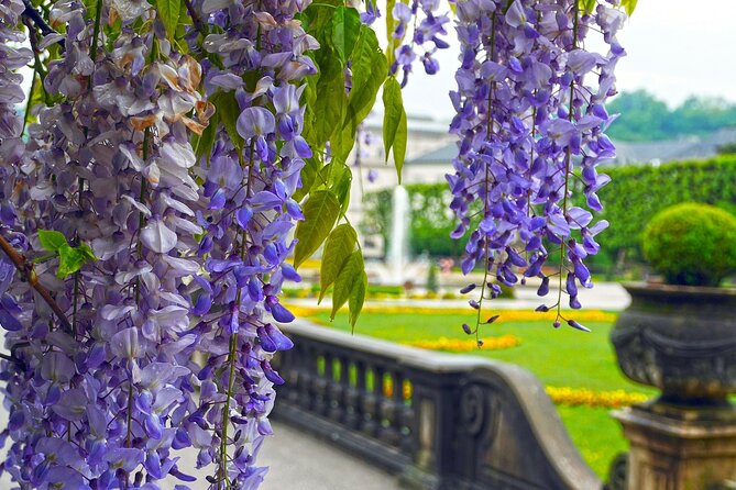 Transfer From Vienna to Salzburg: Private Daytrip With 2 Hours for Sightseeing - Customization Options