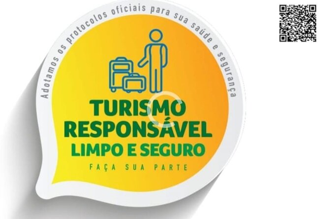 TRANSFER OUT AIRPORT VAN RJ (Copacabana/Ipanema/Leblon/Centro) - Vehicle Capacity and Amenities
