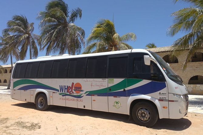 Transfer Out - From Your Hotel in Natal to the Airport - Pickup Locations in Natal