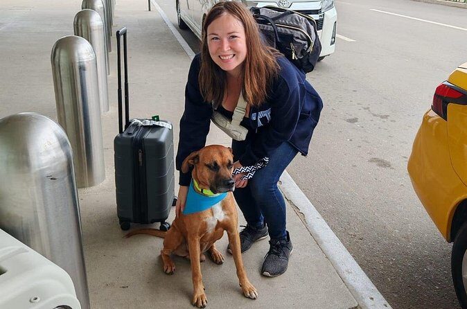 Transfer Private Hotel to Oaxaca Airport - Who Will Benefit Most?