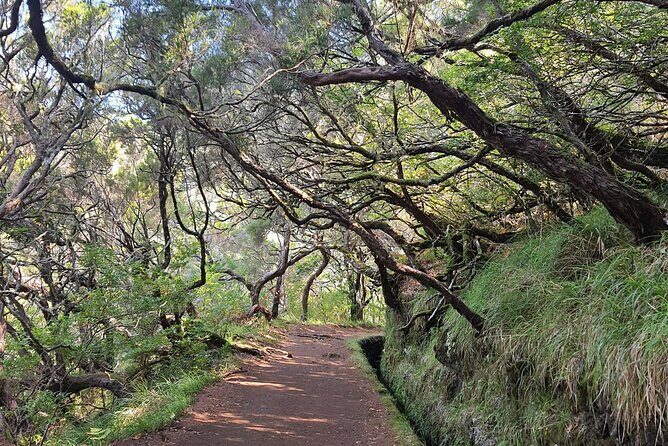 Transfer Rabacal 25 Fontes & Risco Levada Self-Guided - Exploring Madeira’s Levadas with the Rabacal 25 Fontes & Risco Self-Guided Tour