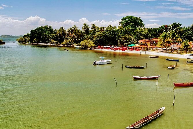 Transfer Salvador to Barra Grande Round Trip - Included in the Transfer