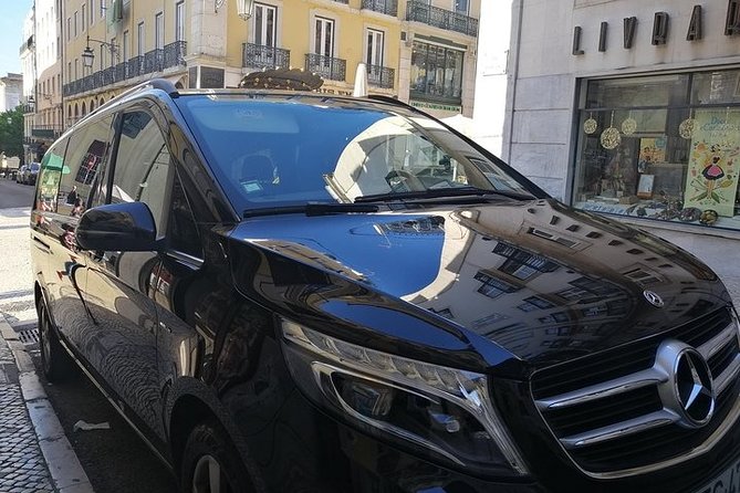 Transfer to Lisbon From Algarve - Accessibility Features