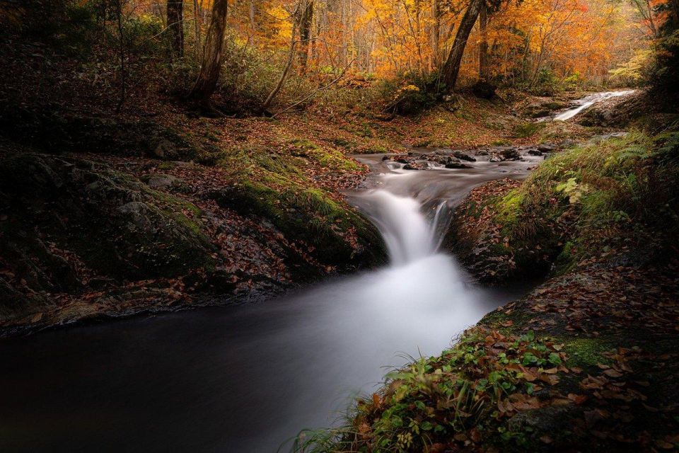 Transfer to Marmore Waterfalls - About the Activity