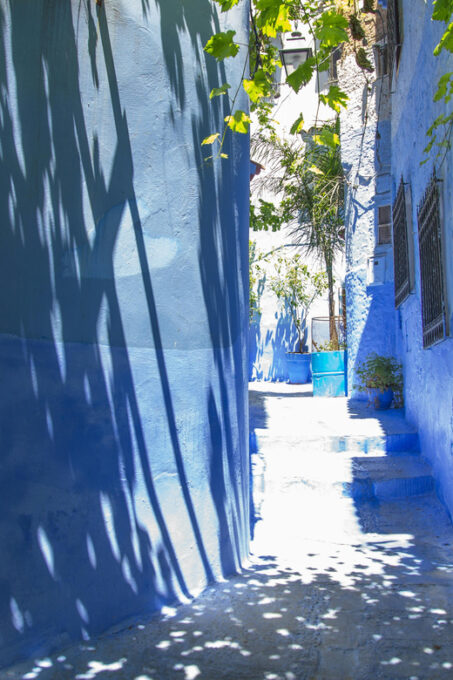 Transfer to Tangier From Fes via Chefchaeun - Selecting Your Travel Details