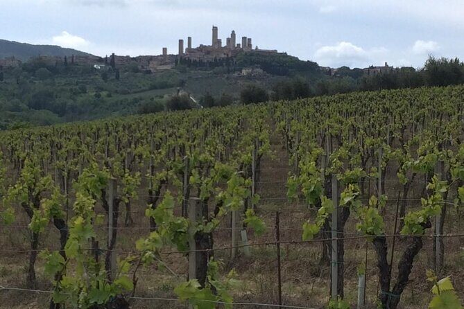 TRANSFER TOUR Florence to Lucca with a stop in San Gimignano - Key Points