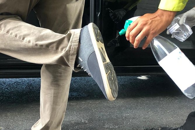 Transfers in Private Minibus - Safety and Accessibility