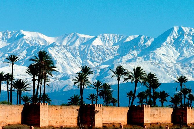 Transfers Marrakech to Essaouira or Essaouira to Marrakech - Pricing and Payment Options