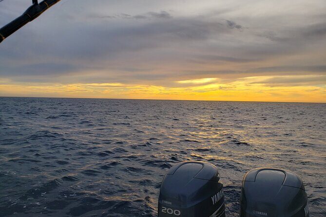 Transfers & Pickups - Who Will Love This Service?