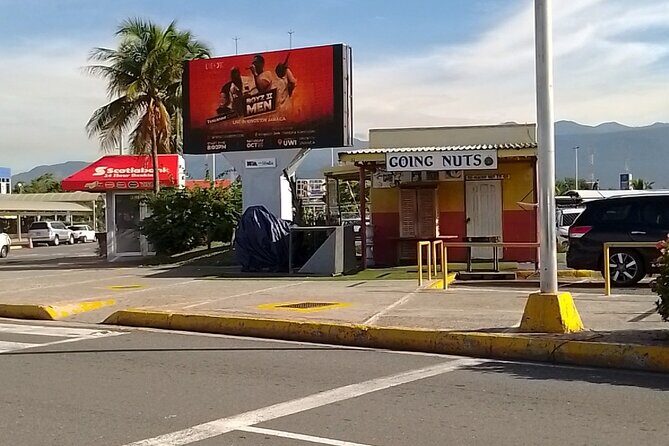 Transfers to Runaway Bay (Grand Bahia Principe) from Kingston. - What Travelers Can Expect