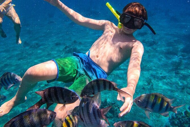 Transparent Boat Experience Cozumel & Snorkeling on Colorful Reef - Practical Considerations