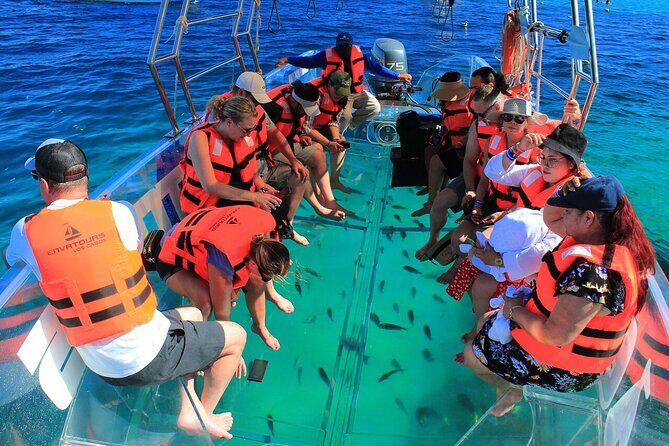 Transparent Boat Ride to Los Cabos Arch - The Experience: What to Expect on the Transparent Boat Ride