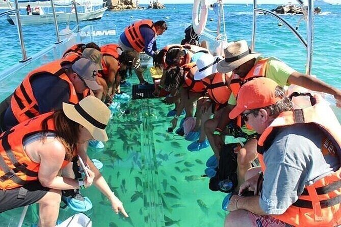 Transparent Boat Tour Cabo San Lucas Arch and Playa del Amor - Who Should Book This Tour?