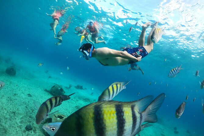 Transparent Boat with Snorkeling drinks and photo shoot - What Is Included and What’s Not?