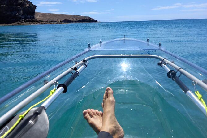 Transparent Electric Kayaks with Guide - An Overview of the Experience