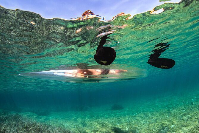 Transparent Kayak Rental - Explore the Underwater World - FAQ