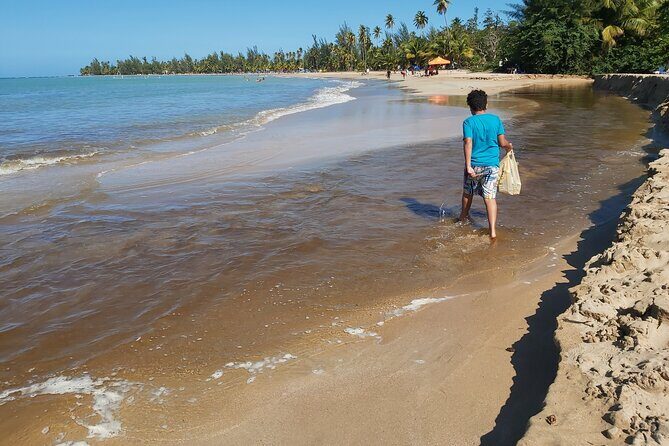 Transportation from San Juan to Ceiba ferry or airport - Is the Price Worth It?