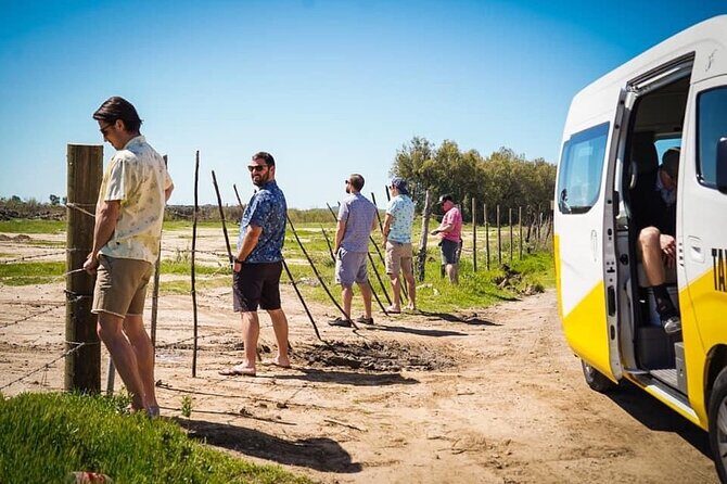 Transportation Suburban Weddings,Birthday/Valley of Guadalupe - The Experience in Practice