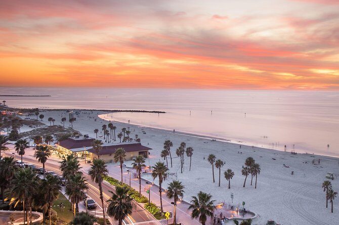 Transportation to Cruises (Cape Canaveral) - Why This Transfer Offers Good Value