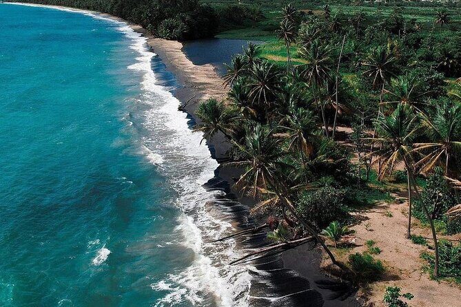 Transportation to Fajardo and Ceiba. Hotels and Airbnb vice versa One Way Trip. - The Sum Up