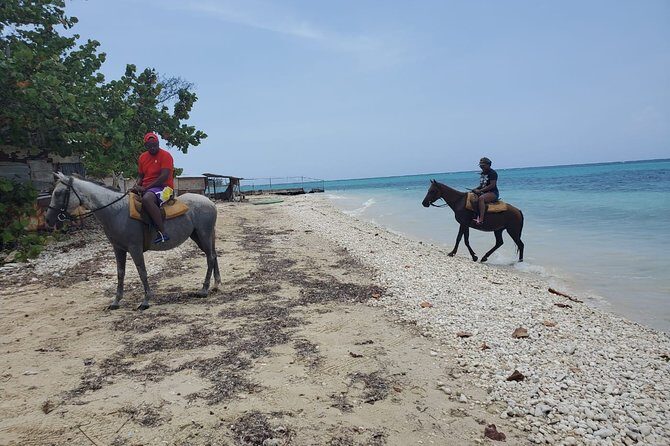 Transportation to Horse Back Ride & Swim Adventure from Ocho Rios - Analyzing the Value