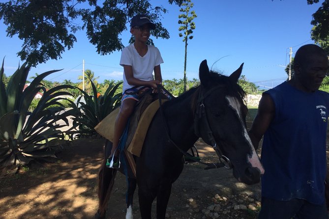 Transportation to Horse Back Ride & Swim Adventure From Ocho Rios - Inclusions and Recommendations