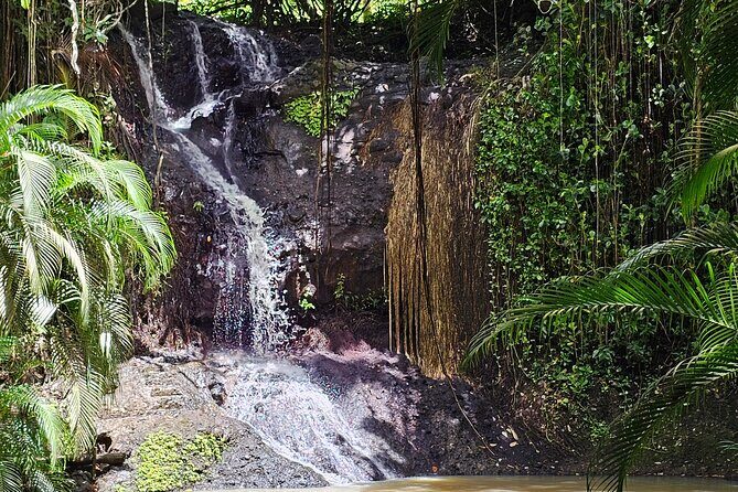 Transportation To St. Lucia Zipline Adventure - FAQ