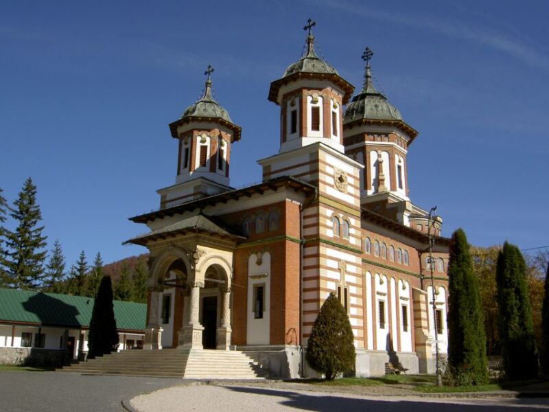 Transylvania: Cultural Full-Day Trip by Minivan - Experience and Guide