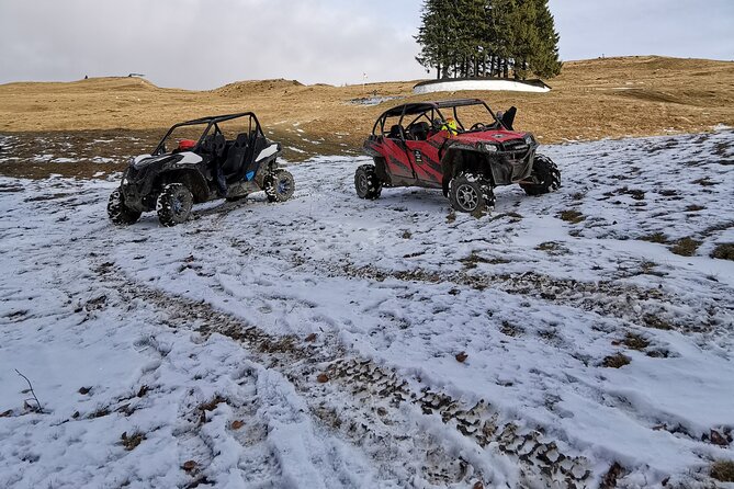 Transylvania, Draculas Castle & Fun With the Snowmobile or ATV Tour in One Day - Snowmobiling and ATV Tours