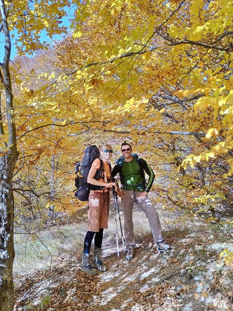 Transylvania: Hike and fly by paraglider day trip - Why This Tour Might Be Right for You