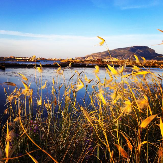 Trapani: 2-Hour Salt Flats Tour - Booking Details and Options