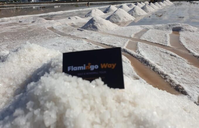 Trapani: Salt Pans Sunset Tour and Flamingo Way - Customer Feedback and Ratings
