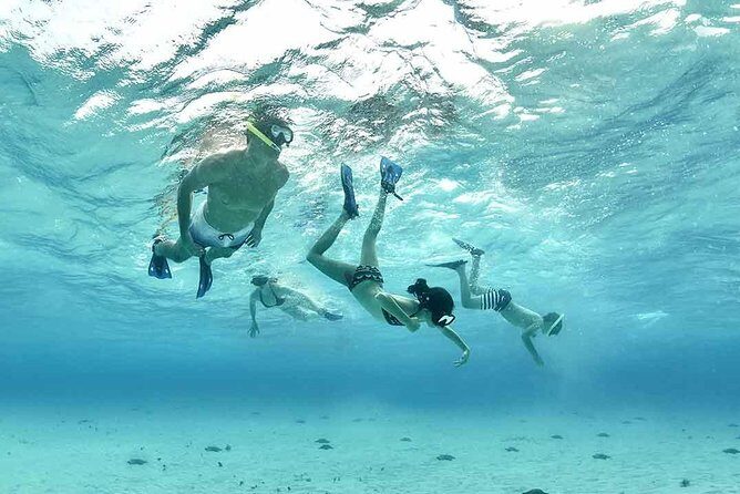 Travel ABOARD A JEEP and visit the most iconic places of Cozumel! - FAQs  