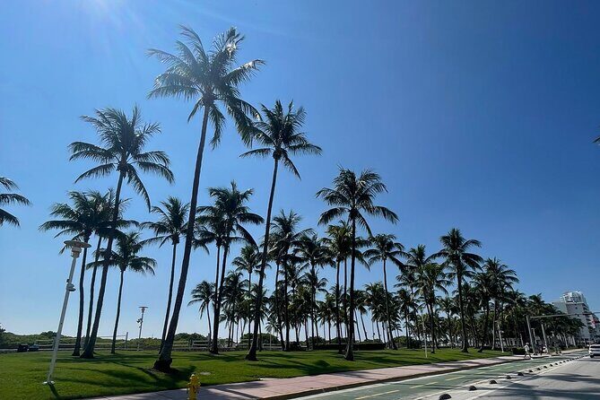 Traveler's Guide to Experience Miami 6-hour Tour - The Sum Up