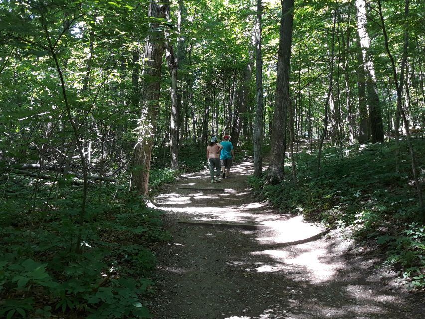Traverse City: 6-Hour Tour of Sleeping Bear Dunes - Highlights of the Tour