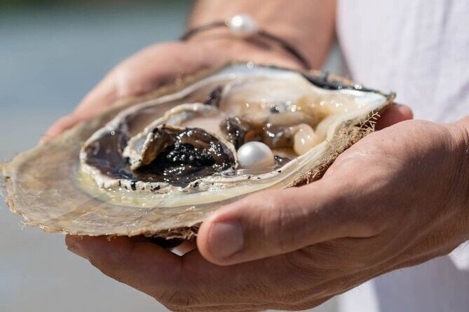 Treasures of Broome Tour - Why This Tour Is Worth Your Time