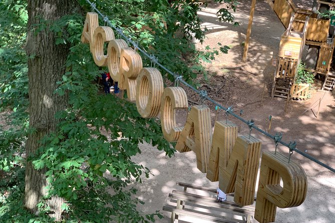 Tree Climbing Course in the Middle of the Forest in Saint-Germain-En-Laye - Course Reviews
