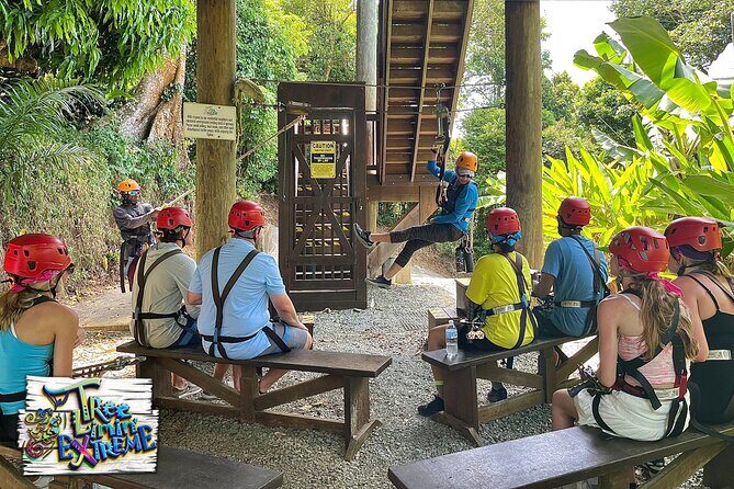 Tree Limin' Extreme Zipline - Pricing & Value