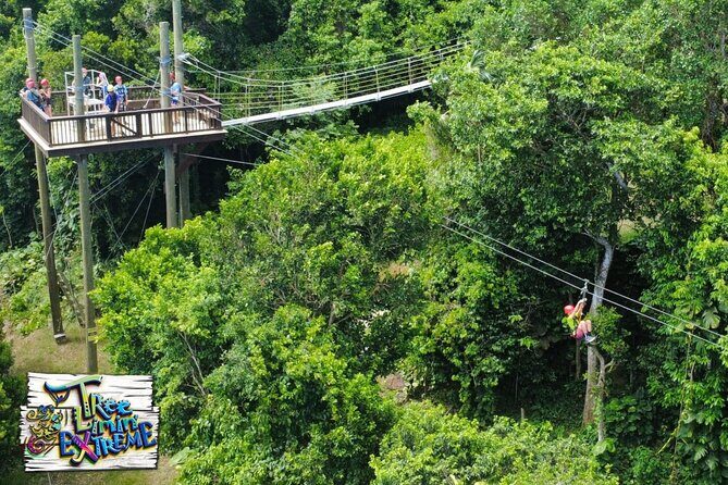 Tree Limin' Extreme Zipline - What Other Travelers Say