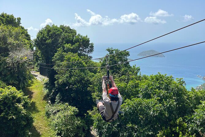 Tree Limin' Extreme Zipline - The Sum Up