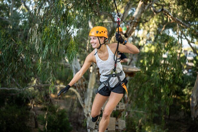 Tree Top Activity for Thrill Seekers and Adventurers in Adelaide - An In-Depth Look at the Adelaide Tree-Top Adventure