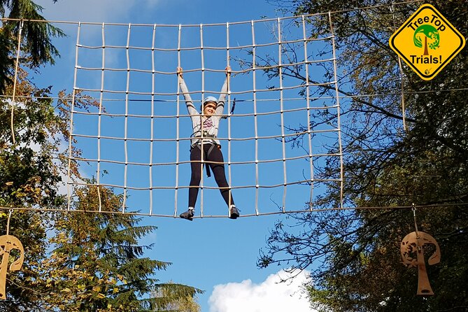Tree Top Highwire - 2 Different Courses for Different Age Groups - Good To Know