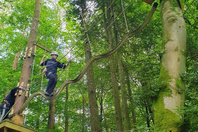 Tree Top Highwire - 2 Different Courses for Different Age Groups - Participant Requirements