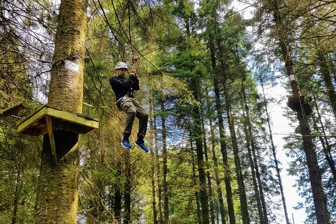 Tree Top Highwire - 2 Different Courses for Different Age Groups - Course Details for Age Groups