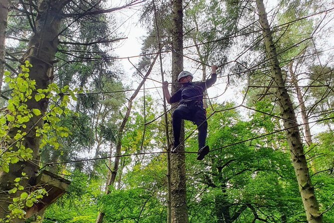 Tree Top Highwire - 2 Different Courses for Different Age Groups - Additional Information